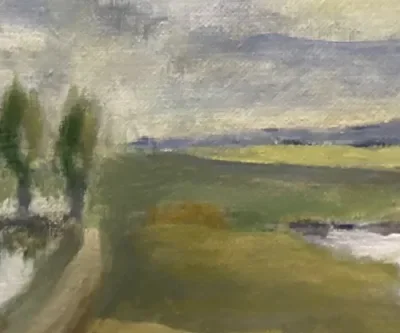 Syskonlika – men olika