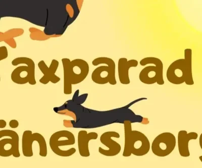 Taxparad i Vänersborg