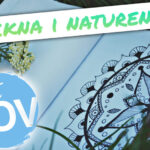 Teckna i naturen