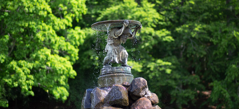 The Water Carrier