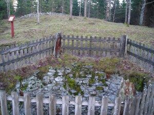 The wolf pit
