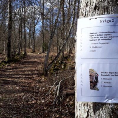 Tipspromenad på Ranahult