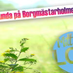 Tipsrunda på Borgmästarholmen