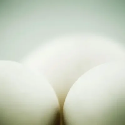 Torggummans Ägg