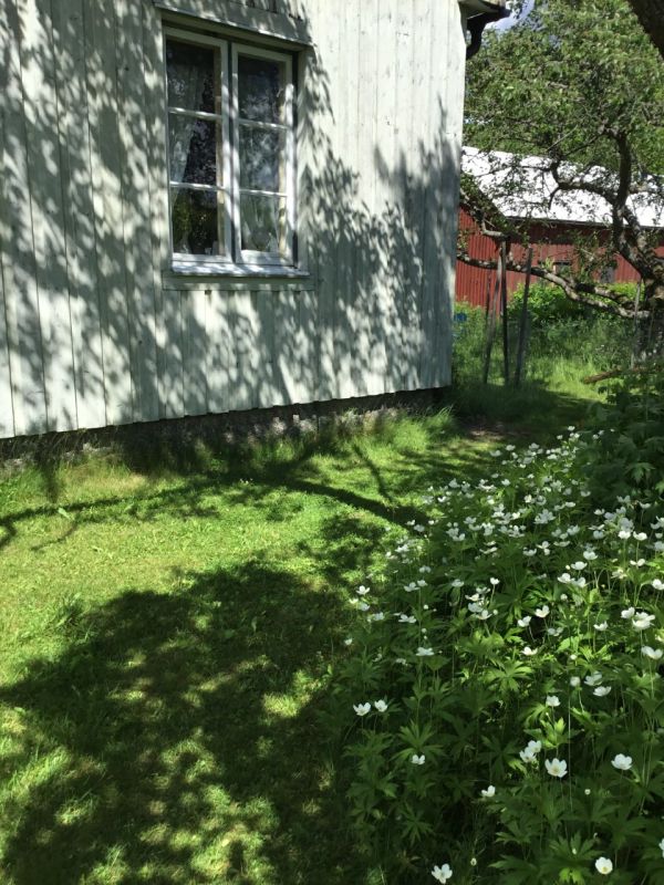 Hemlängtan