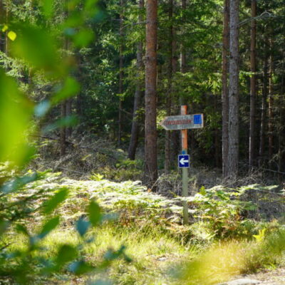 TORRSKOGTUREN