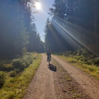 Tour Suggestion – Woodland Loop