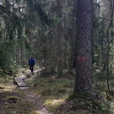 Trail Jällbyleden