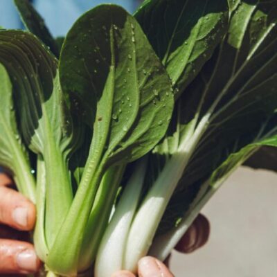 Trivselbygdens gårdsbutiksrunda