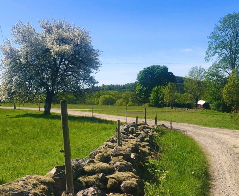 Tvärred Runt