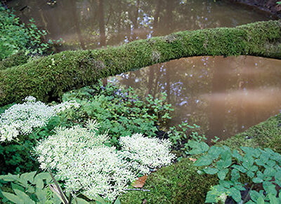 Tvetabäcken