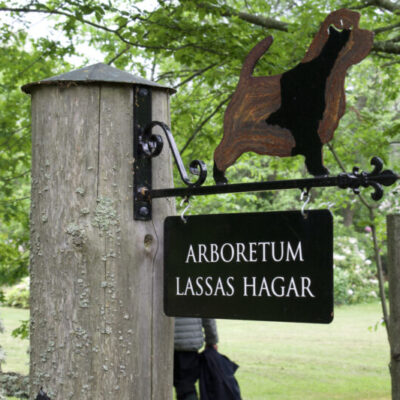 Upplev Lassas Hagar, arboretum