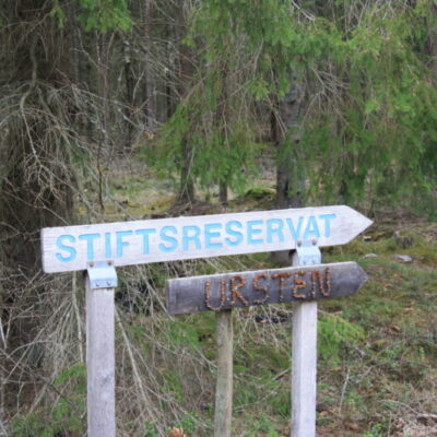Urstensleden
