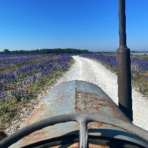 Utflykt med traktor och vagn för hela familjen – Gangvidefarm i När