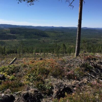 Guidad vandring Aspliden