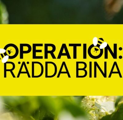 Utställning: ”Rädda Bina”