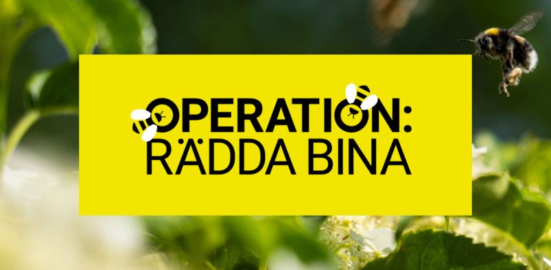 Utställning: ”Rädda Bina”