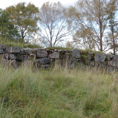 Vädersholm Castle Ruin