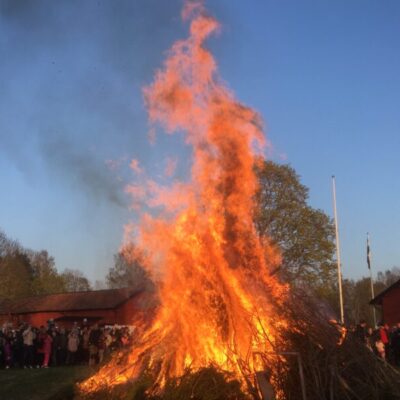 Valborgsmässoafton på Tolvmansgården