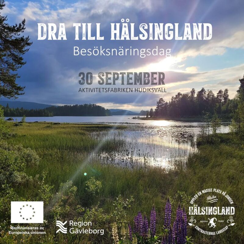 Välkommen till Hälsinglands Besöksnäringsdag