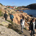 Vandra Bohus-Malmön med vargar