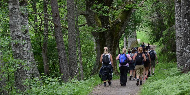 Vardagsvandring Stora Höga/Getskär