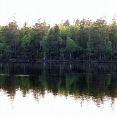 Västra Solsjöns FVO
