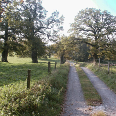 Västra Tunhem-leden
