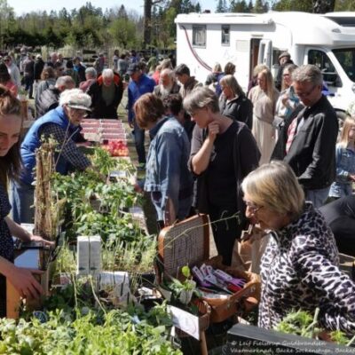 Växtmarknad vid Bäcke Sockenstuga