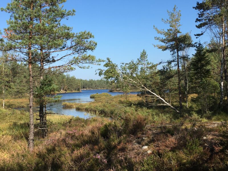 Veckovis 2 Övernattning vindskydd