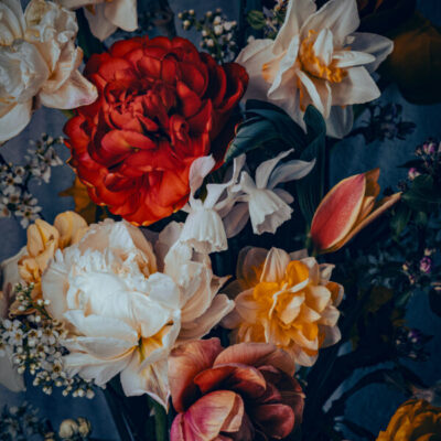 Vernissage fotoutställning Glasets hus