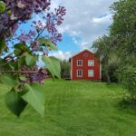 Vi firar midsommar på Labacken i Roslagsbro!