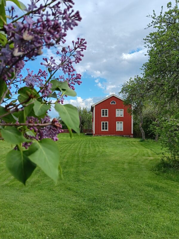 Vi firar midsommar på Labacken i Roslagsbro!