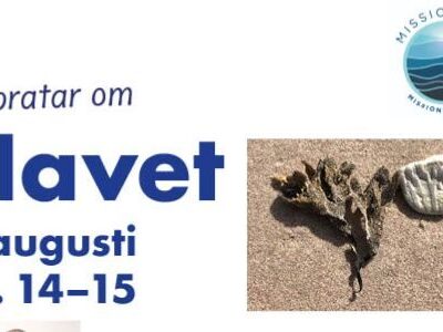 Vi pratar om HAVET