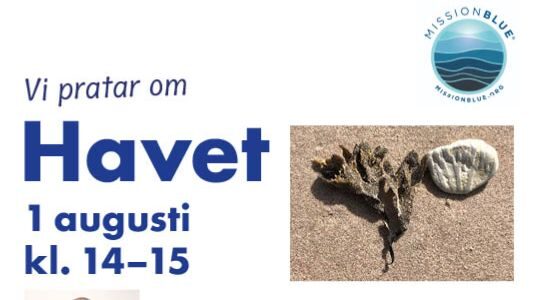Vi pratar om HAVET