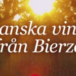 Vill du lära dig mer om vin?