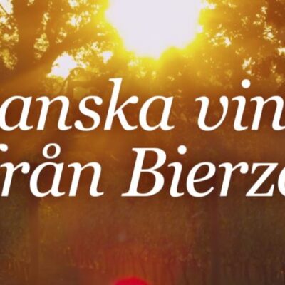 Vill du lära dig mer om vin?