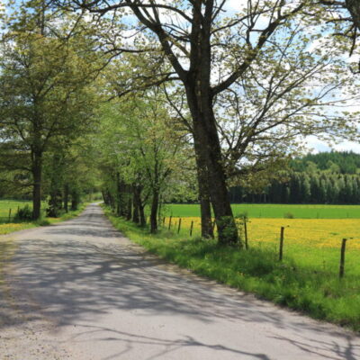Vilskeleden