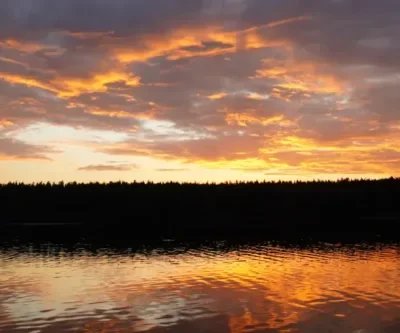 Visning av Rävlyckan