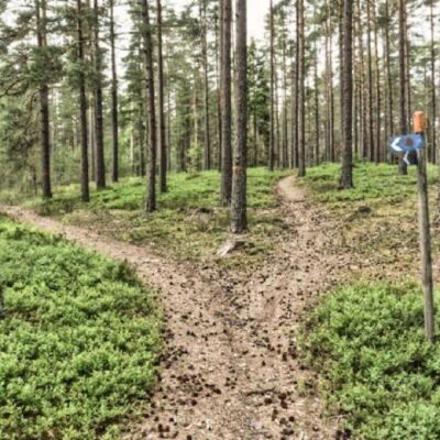 Skutberget-Kil