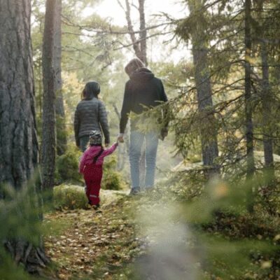 Webbinarium om fysisk aktivitet för barn och unga
