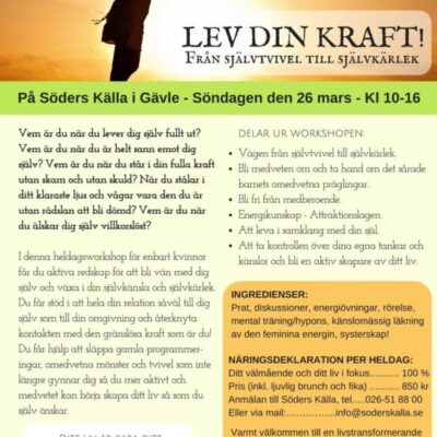 Workshop-Lev din kraft, med Sanna Nova Emilia
