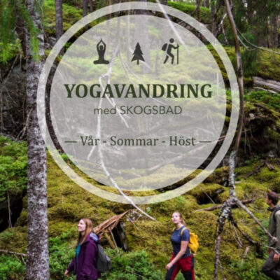 Yogavandring & skogsbad på Kroppefjäll