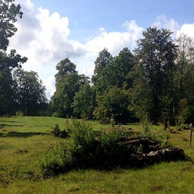 Yttre Hedane naturreservat